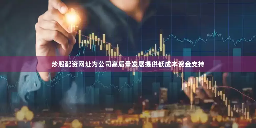 炒股配资网址为公司高质量发展提供低成本资金支持
