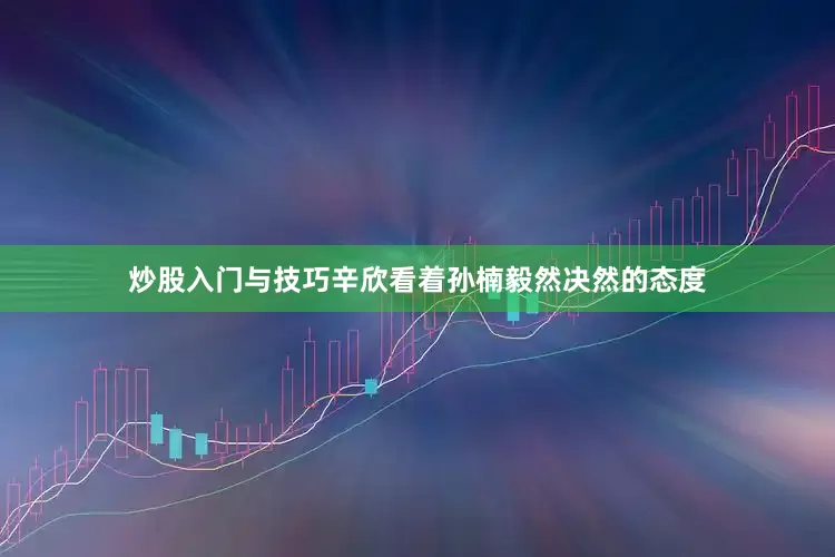 炒股入门与技巧辛欣看着孙楠毅然决然的态度
