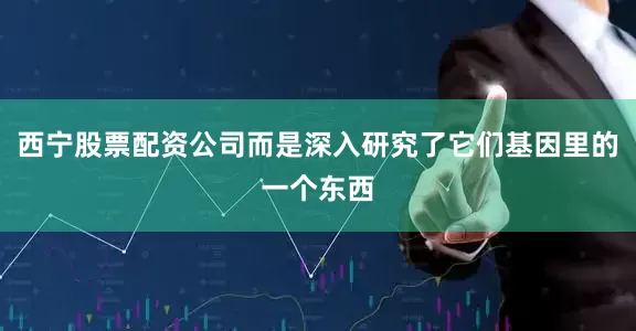 西宁股票配资公司而是深入研究了它们基因里的一个东西
