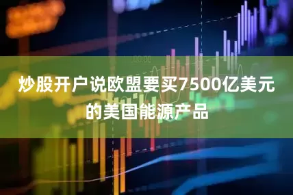 炒股开户说欧盟要买7500亿美元的美国能源产品