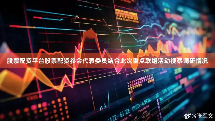 股票配资平台股票配资参会代表委员结合此次重点联络活动视察调研情况